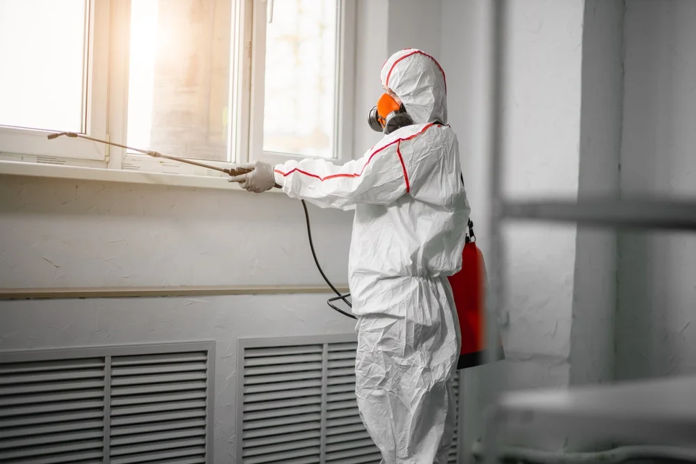 Professional mold remediation services in Walnut Bottom, PA